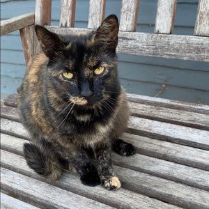 Meet your Top seller, Minni & Sue Frida Ruby. ❤️